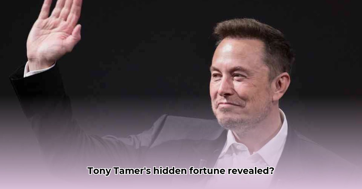 tony-tamer-net-worth